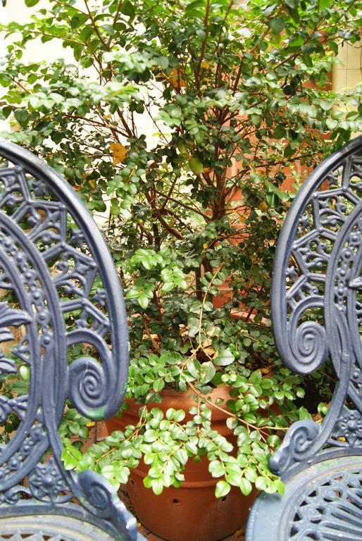 Aparthotel Andre'S Mews Melbourne Zewnętrze zdjęcie